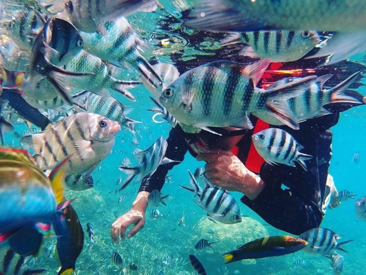 Delima Redang Resort Luaran gambar